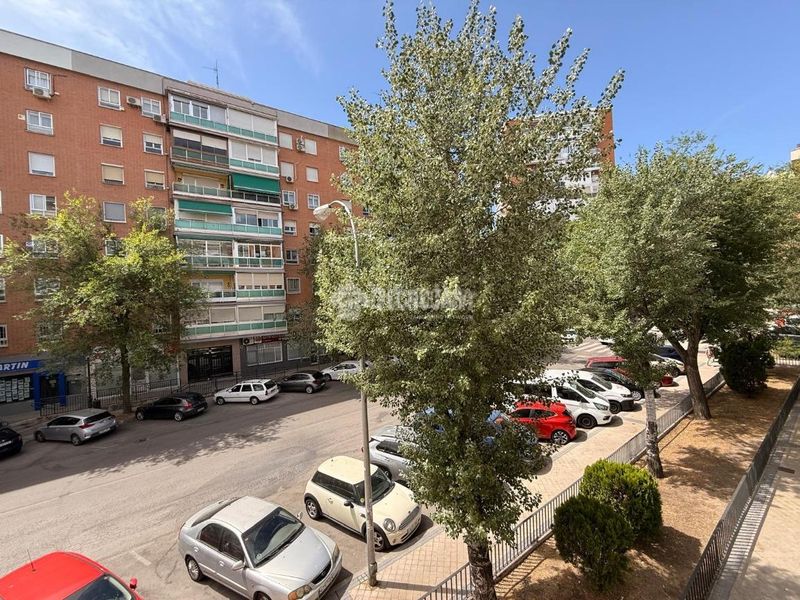 Foto bd452eba-936e-45e4-ab23-6e0c3e43bd48. Estudi a Aluche Madrid