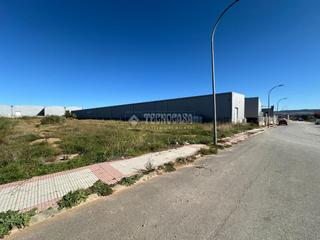 Solar industrial a Fontanar. Terrenos en venta en fontanar