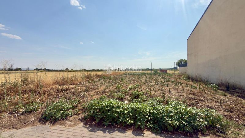 Foto 9511bc27-d180-4b60-8f33-024061c7b33d. Terreny residencial a Marchamalo