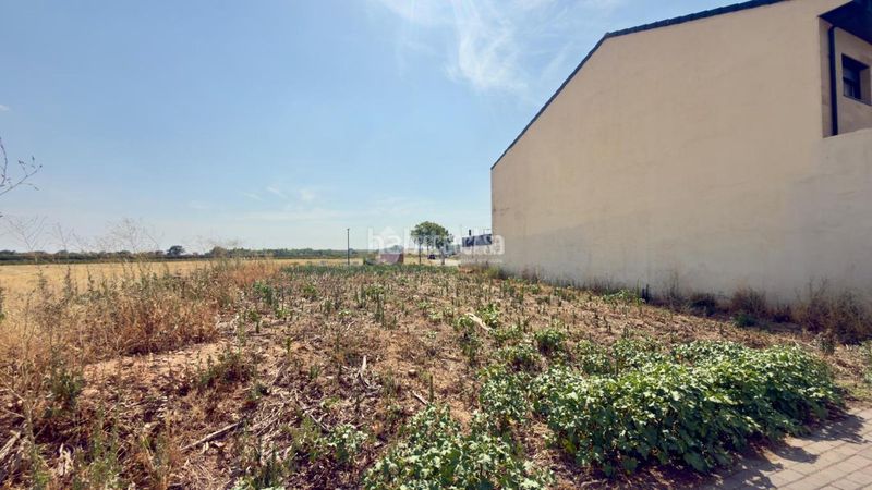 Foto c3607ff7-3569-4859-8d01-7db74534b598. Terreny residencial a Marchamalo