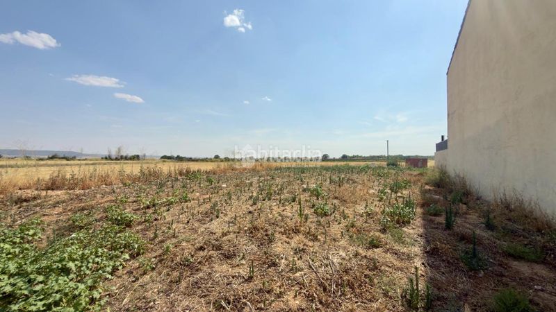 Foto d79121cb-36da-489d-873f-4e1d9d466155. Terreny residencial a Marchamalo
