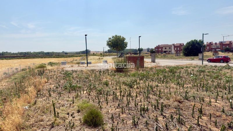 Foto d5499ca7-ea8d-4741-8da0-9856e39229a3. Terreny residencial a Marchamalo