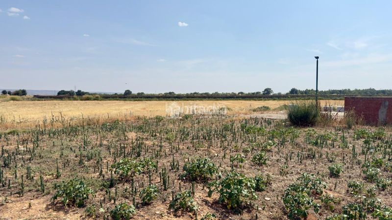 Foto f51df0e0-9711-4666-af0c-a6c6ea885ebf. Terreny residencial a Marchamalo