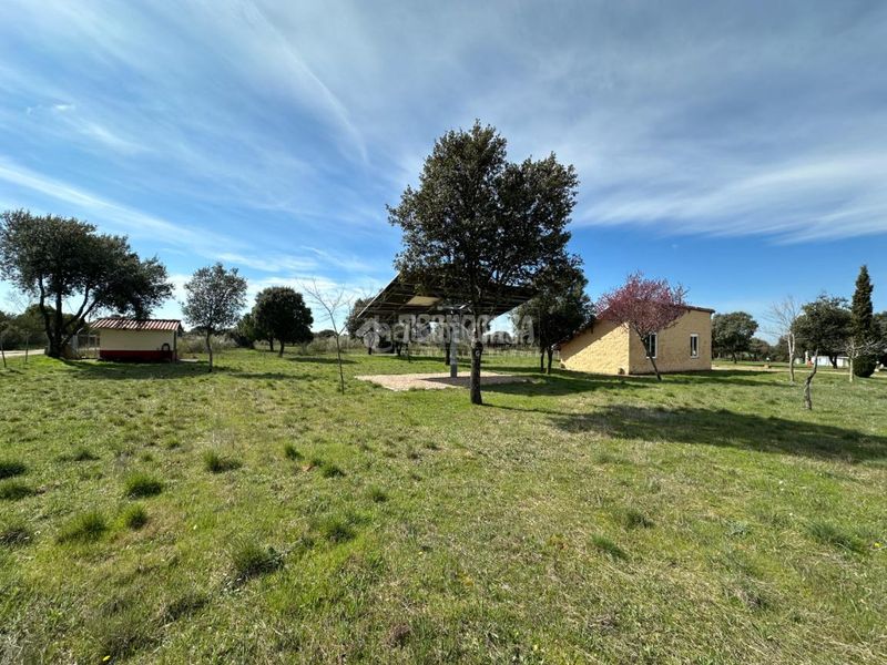 Foto 001b8607-1931-4ca5-9972-8ddc9c414959. Masia amb calefacció aparcament piscina a Málaga del Fresno