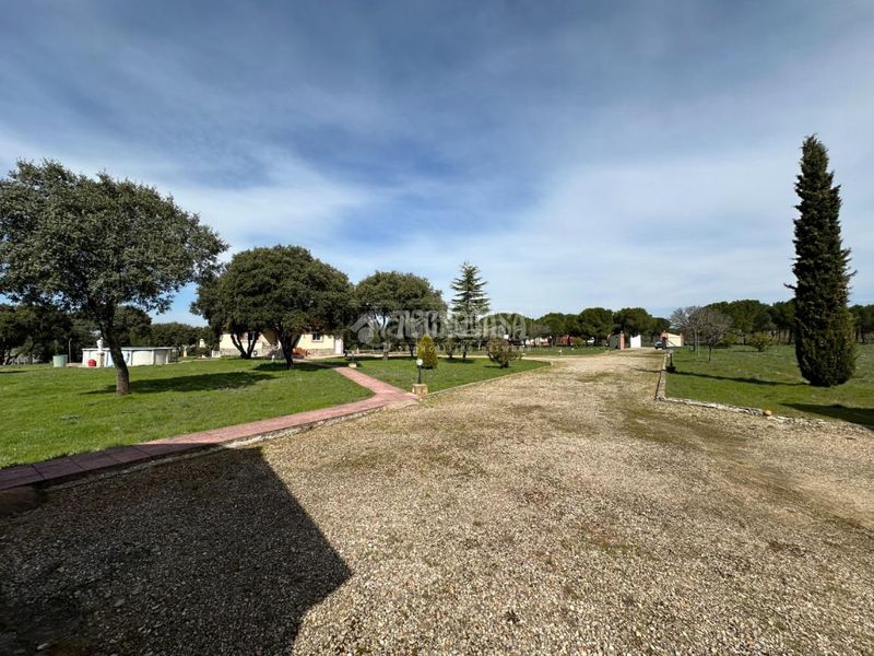 Foto 661f98b8-9c2e-4f74-bebe-e5ba75f084f3. Masia amb calefacció aparcament piscina a Málaga del Fresno