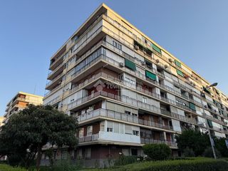 Pis a Las Águilas