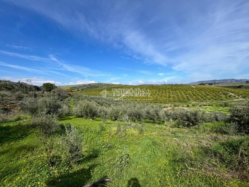 Foto 028c5bda-6270-477b-be63-b3504f31c4a8. Finca rústica a Pizarra
