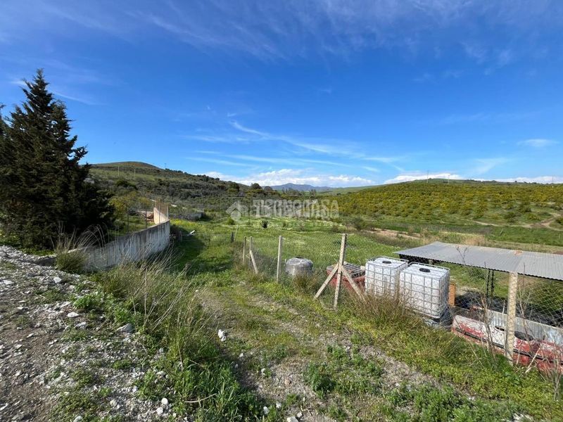 Foto ca6ee5c6-d6ef-4cd0-8262-8b7d5b1e88b8. Finca rústica a Pizarra