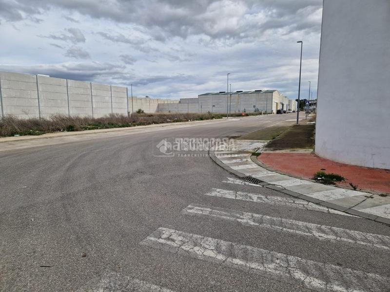 Foto 11588665-0ff8-40aa-95a4-04033c191dea. Area edificabile industriale in Osuna