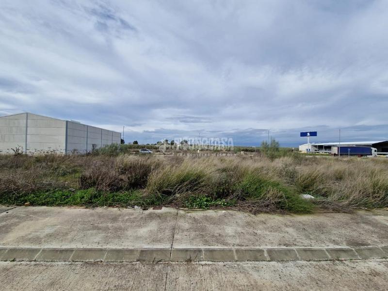 Foto 3e889dc1-7f56-4fe8-98c3-1dc1530a08ce. Area edificabile industriale in Osuna