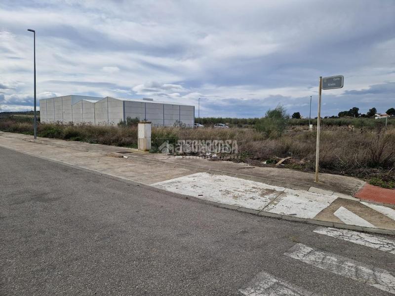 Foto 4f53fa74-bd17-4f72-823f-2366e74be5bb. Area edificabile industriale in Osuna