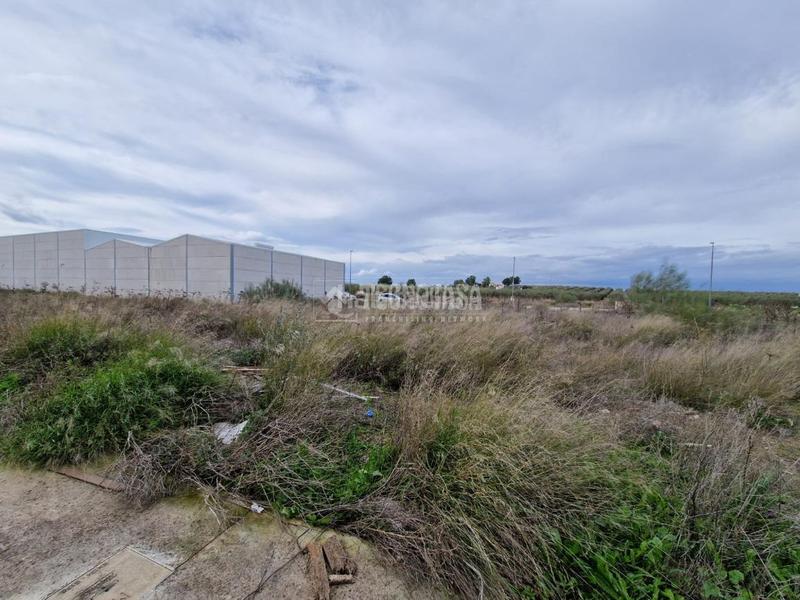 Foto 92773025-9369-4204-905b-a1688b098e9b. Area edificabile industriale in Osuna