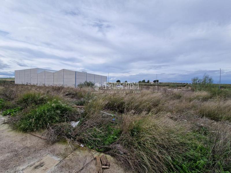 Foto ec4a0404-f400-4e22-9e9f-5a5d27578897. Area edificabile industriale in Osuna