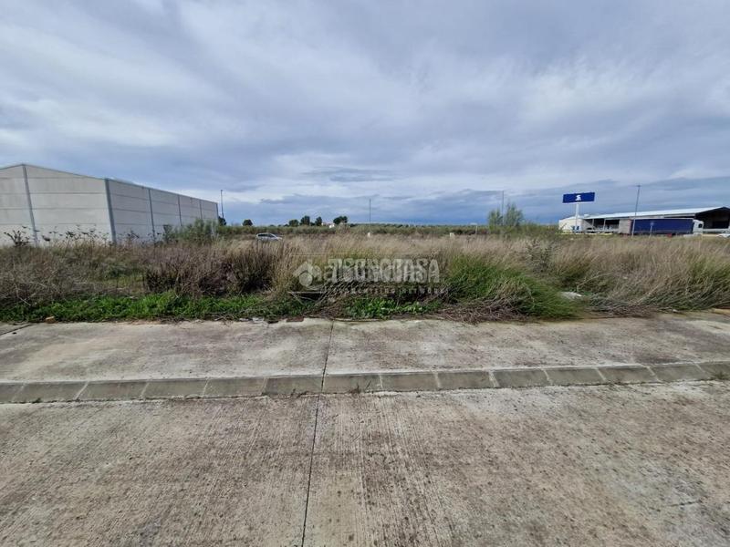 Foto fff47564-7dbc-4ae0-8233-affb4285e728. Area edificabile industriale in Osuna