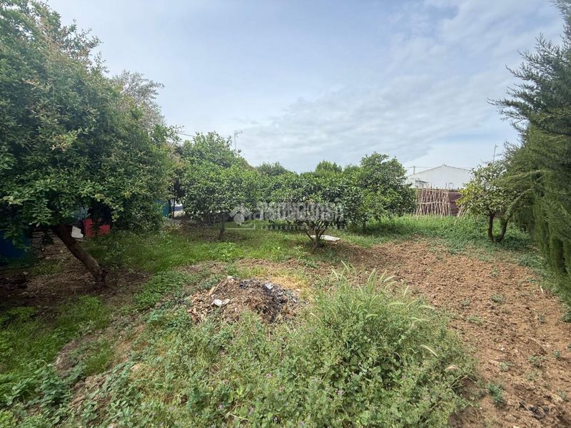 Foto 70d2aa3a-82a1-4665-9b72-e7bd76977788. Masia amb calefacció a Arahal