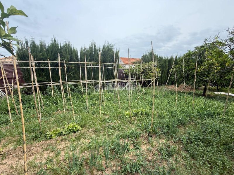 Foto e5b381af-765c-49d4-887a-b71a157163b7. Masia amb calefacció a Arahal