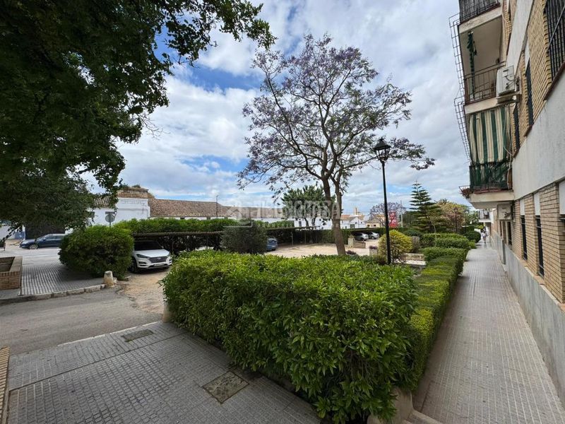 Foto d8fd7780-494e-4c11-82e6-bdc8fe580e31. Piso  en venta en Osuna