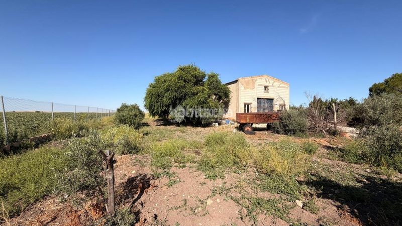 Foto 154a4453-a12f-4329-8d45-936c3411ff2e. Finca rústica a Lantejuela (La)