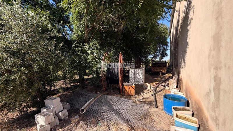 Foto 341c37f5-f986-4637-bc90-88326f4a5431. Finca rústica a Lantejuela (La)
