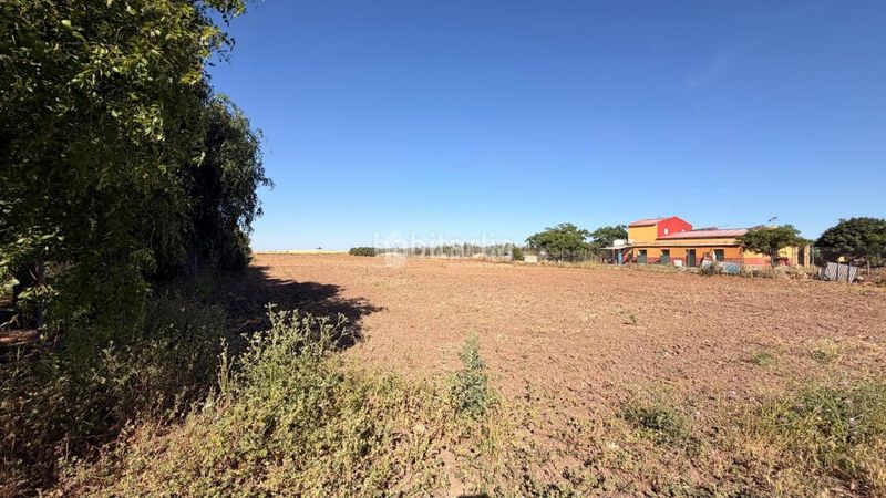 Foto 5a41d159-5519-4103-a891-341b328325e6. Finca rústica a Lantejuela (La)