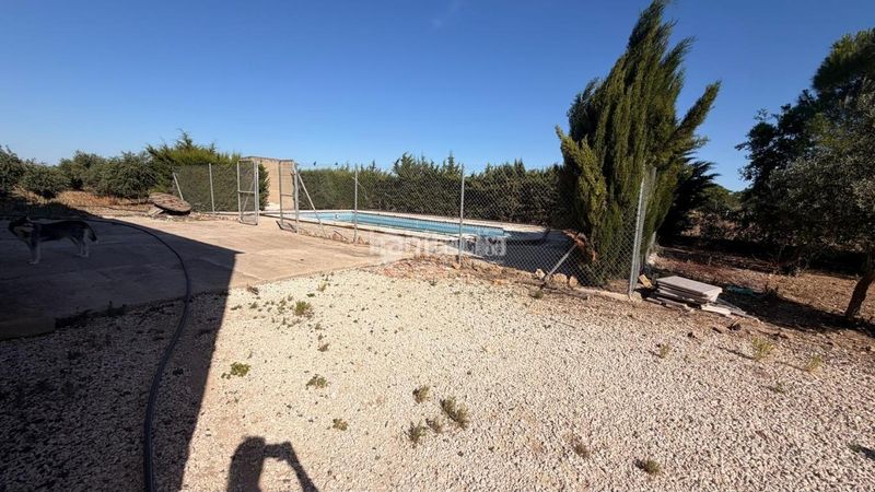 Foto 9ac49fb1-c59b-41ce-88e7-f537d7642192. Finca rústica a Lantejuela (La)