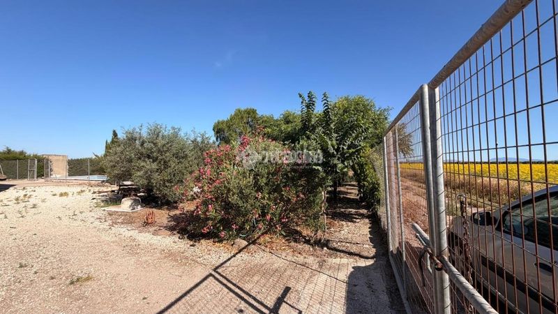 Foto 9ff2b04b-b697-4086-8a58-5b7cc483ffe1. Finca rústica a Lantejuela (La)