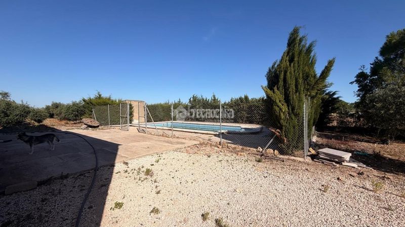 Foto c90aca2d-7c14-4344-a271-6ac0d5aa2841. Finca rústica a Lantejuela (La)