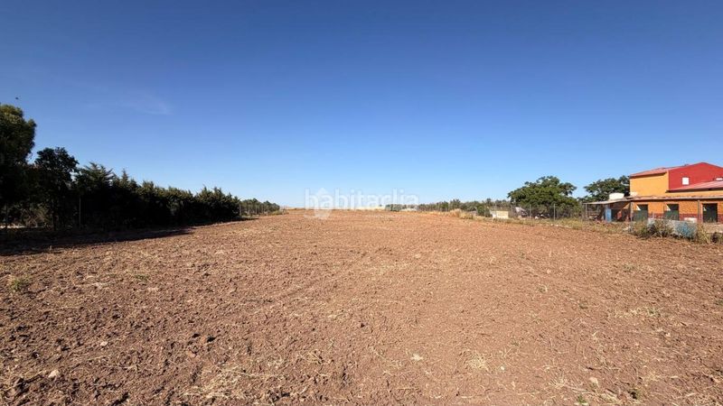 Foto d3573eb0-7a95-49e5-ae0f-2fa70454c7ba. Finca rústica a Lantejuela (La)
