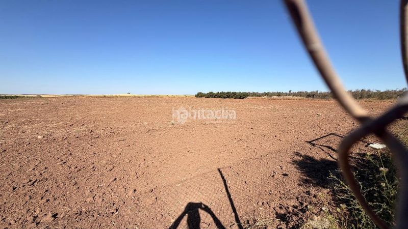 Foto dc72e6f6-db69-41ea-8a5b-730f5be60314. Finca rústica a Lantejuela (La)