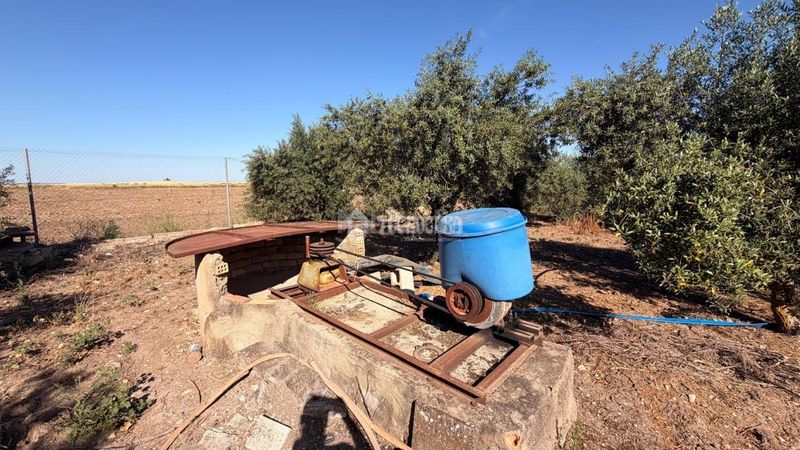 Foto e1b8c3a0-dfa8-4382-84c9-85e9512dfe9d. Finca rústica a Lantejuela (La)