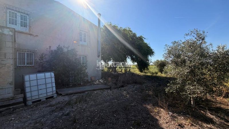Foto f82586d4-85af-4b5e-833a-45eb74390008. Finca rústica a Lantejuela (La)