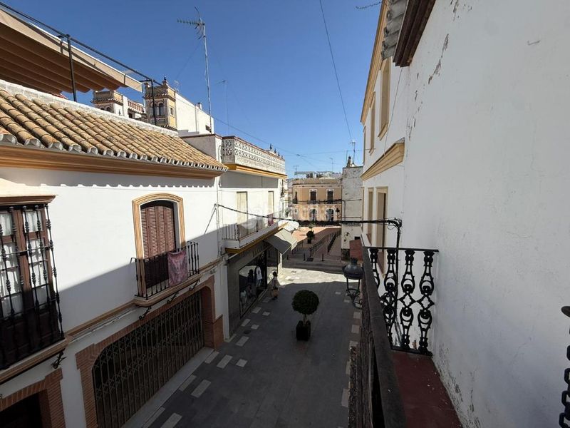 Foto f85cfc1d-9f57-42f8-bd77-af3e1b4e0f10. Casa aparellada a Arahal