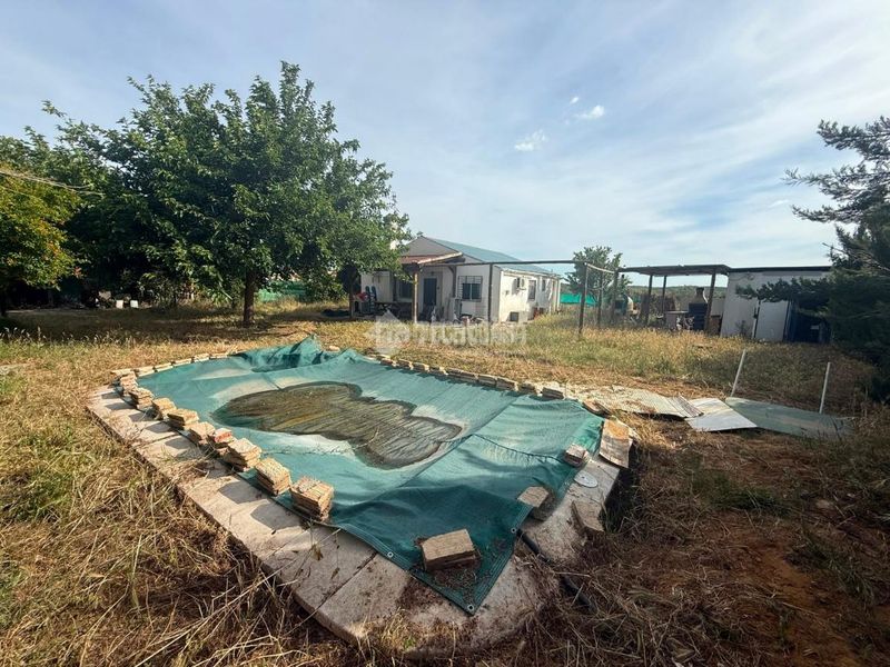 Foto b4a937ee-3352-416b-9da2-7ba9df49b2b6. Masia amb calefacció piscina a Arahal