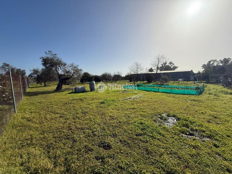 Foto 0bcbb706-343b-4de1-9685-8b716e6e228a. Finca rústica terrenos en venta en Arahal