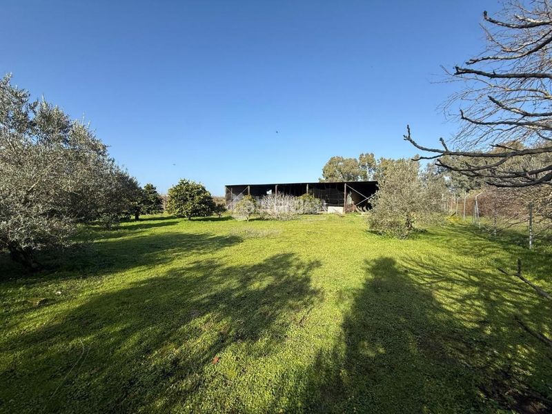 Foto 0eee3577-afea-49ce-9eb6-3a99f2be953e. Finca rústica terrenos en venta en Arahal