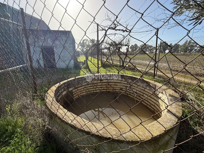 Foto 2b34ce3c-7f62-4022-87b1-c576285e8b0d. Finca rústica terrenos en venta en Arahal