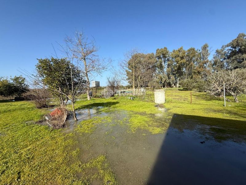 Foto 2f013203-b1e5-4a77-8ea9-7c549f448459. Finca rústica terrenos en venta en Arahal