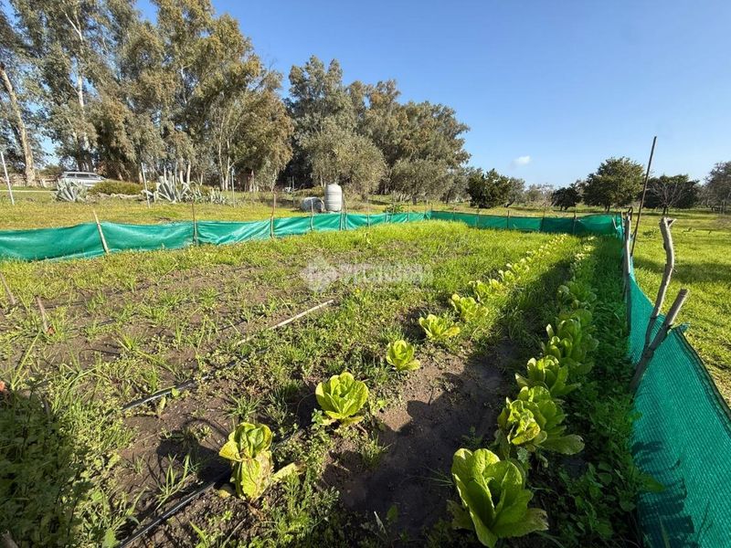 Foto 447bbd66-cb33-4247-a316-631ddb2d9e62. Finca rústica terrenos en venta en Arahal