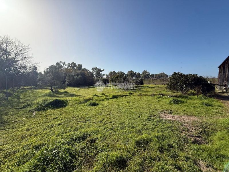 Foto 459aa20c-594d-43a4-83c7-e544efc74391. Finca rústica terrenos en venta en Arahal