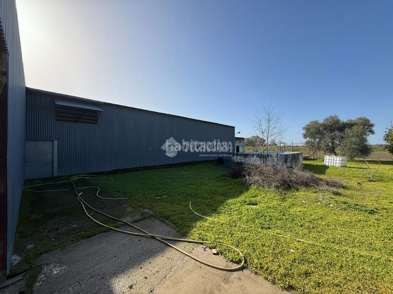 Foto 4a687a1b-077c-42b9-aead-4a9dda3ffb0a. Finca rústica terrenos en venta en Arahal