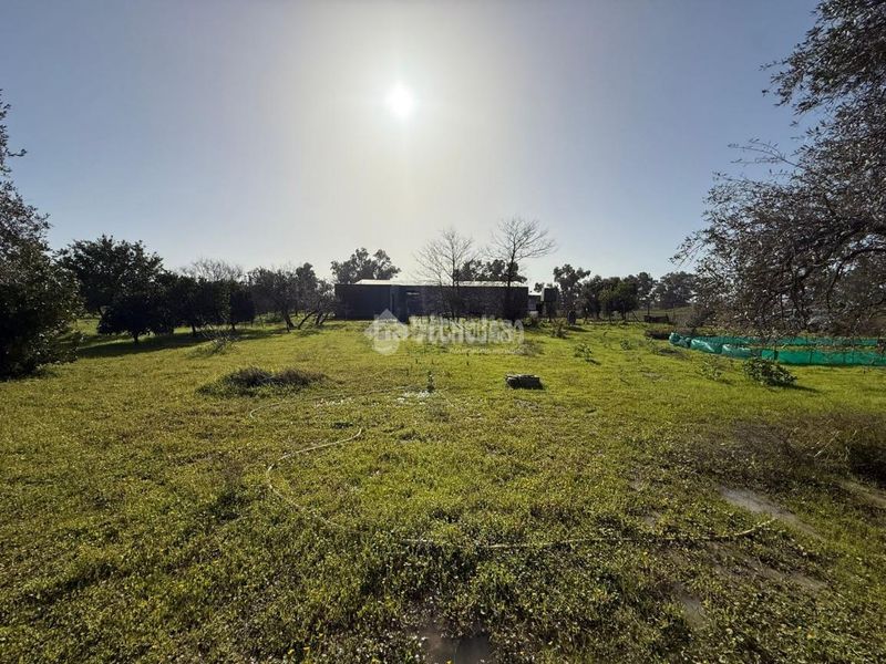 Foto 614b3a5b-81e4-4002-a5ce-59c96b018ba9. Finca rústica terrenos en venta en Arahal