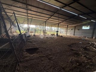 Landgut  Olivar pje. alameda jaedillas (polígono 34 parcela 69). Terrenos en venta en arahal