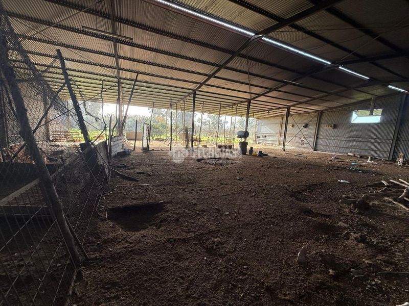 Foto 77d91aaa-08ba-446c-9b68-0afa06a29f8e. Finca rústica terrenos en venta en Arahal