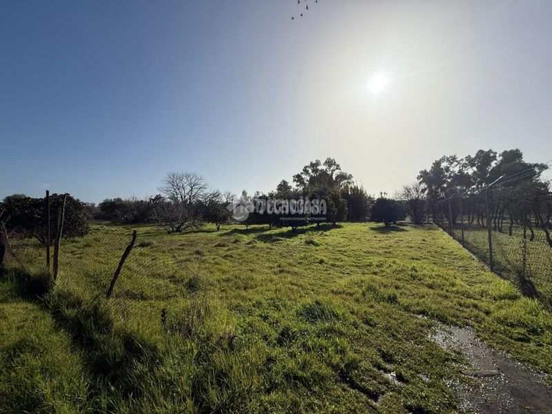 Foto 7833482c-84ad-4a8e-aa46-7d22c3ef99c0. Finca rústica terrenos en venta en Arahal