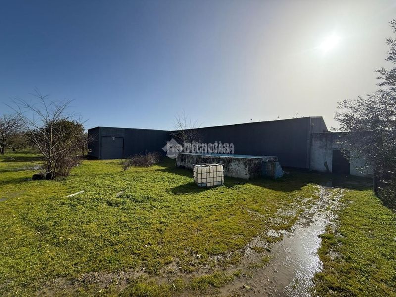 Foto 94db3532-461b-48a5-857e-e48d54baad55. Finca rústica terrenos en venta en Arahal