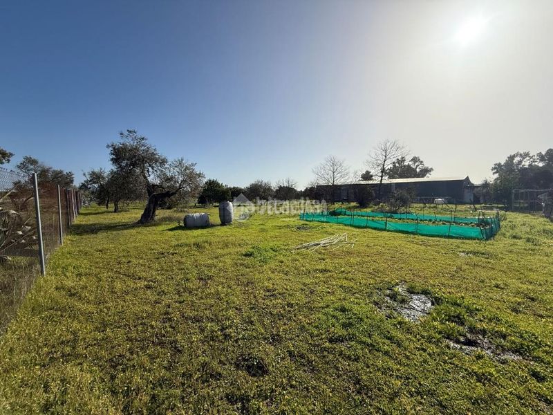Foto a775d566-aae7-4e96-819b-30470e0d6e46. Finca rústica terrenos en venta en Arahal