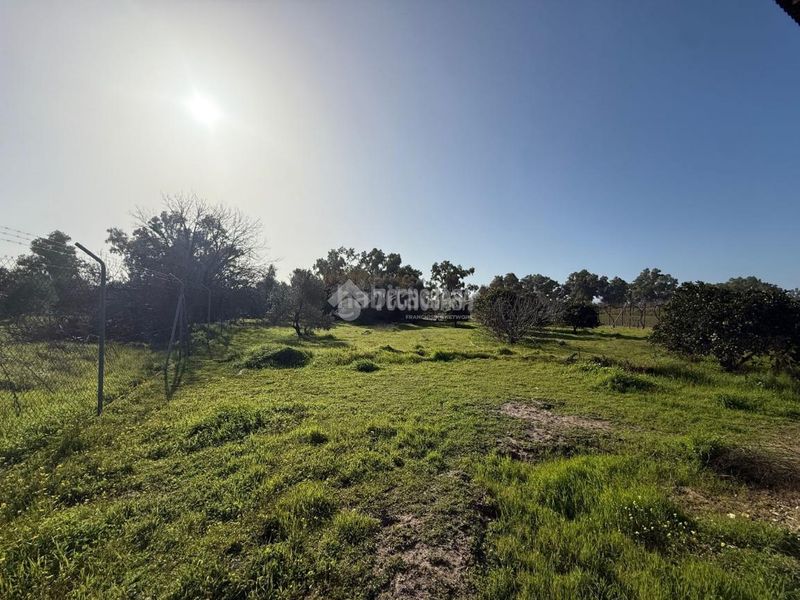 Foto aff16879-dca9-42aa-a323-79df361415f4. Finca rústica terrenos en venta en Arahal