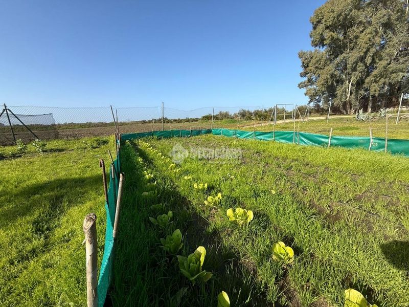 Foto ea12dd28-c1bb-4348-bed2-2eb1e61dd1ce. Finca rústica terrenos en venta en Arahal