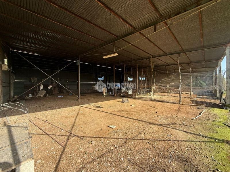 Foto eb660eac-e874-474a-a71d-82512357bbfc. Finca rústica terrenos en venta en Arahal