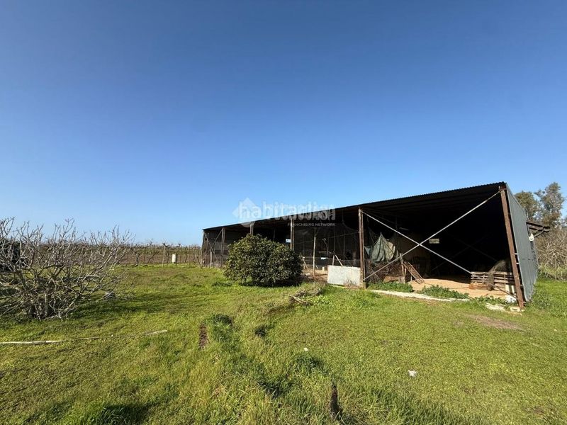 Foto f9b12975-0a1a-461d-a405-4d0be6b79b71. Finca rústica terrenos en venta en Arahal